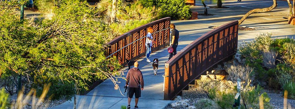 Cottonwood Trails in Summerlin